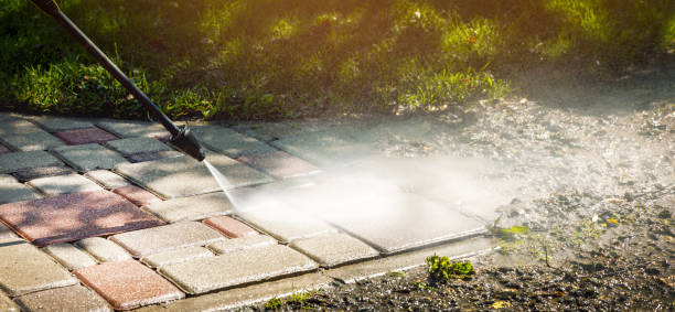 Animal Enclosure Cleaning in Nescopeck, PA